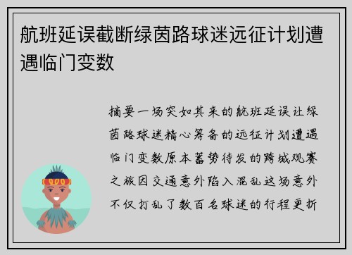 航班延误截断绿茵路球迷远征计划遭遇临门变数